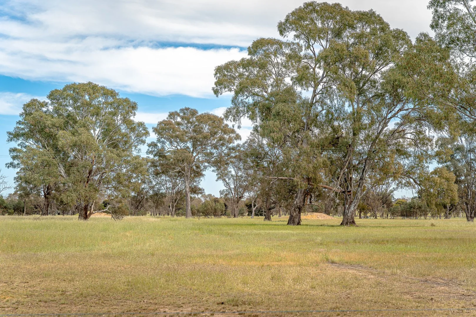 Additional image 7 of 47 Rehes Lane, Goornong VIC 3557
