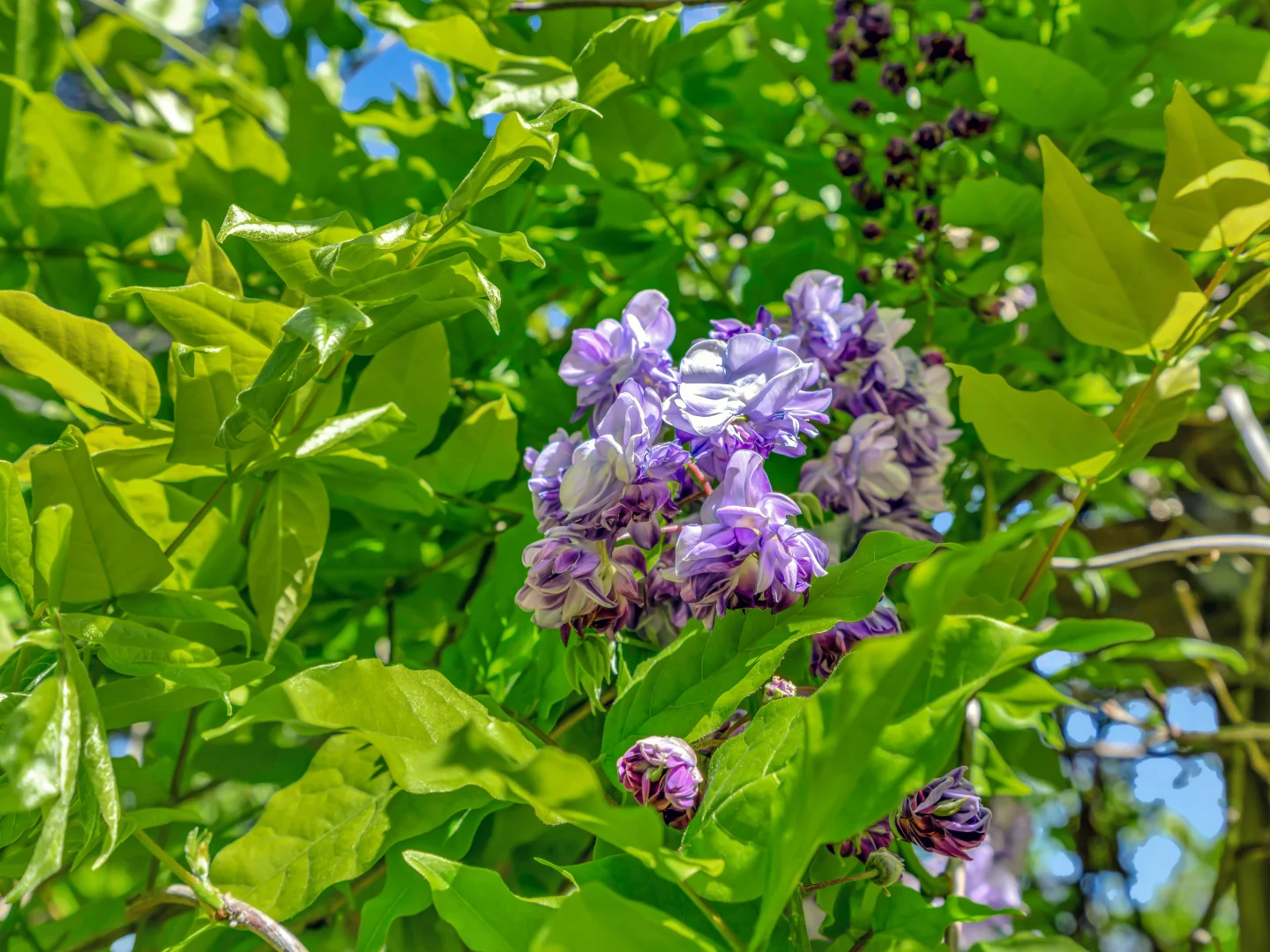 Additional image 13 of 923 Orara Way, Nana Glen NSW 2450