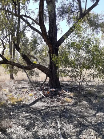 Additional image 2 of #122 Kofoeds Road, Tara QLD 4421