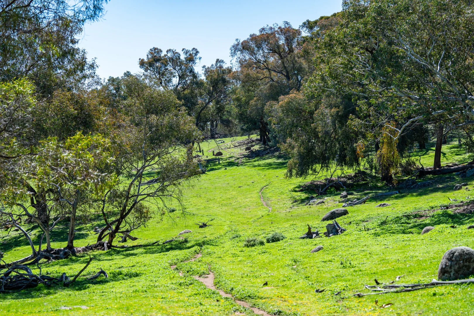 Additional image 15 of . Sanderson Road, Springhurst VIC 3682