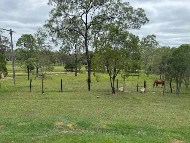 Additional image 16 of 142 PERRY RIVER FARMS RD, Morganville QLD 4671