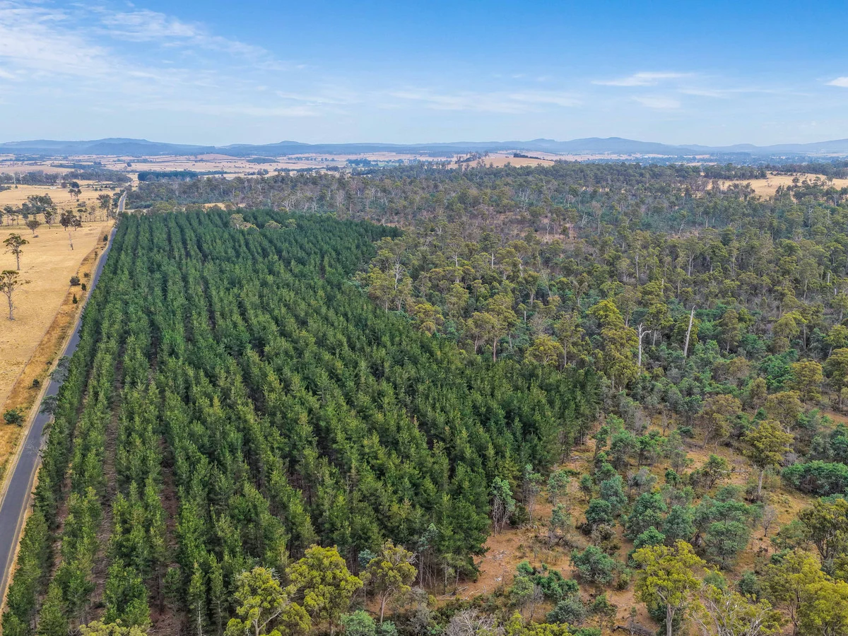 Additional image 13 of 179 Cluan Road, Cluan TAS 7303