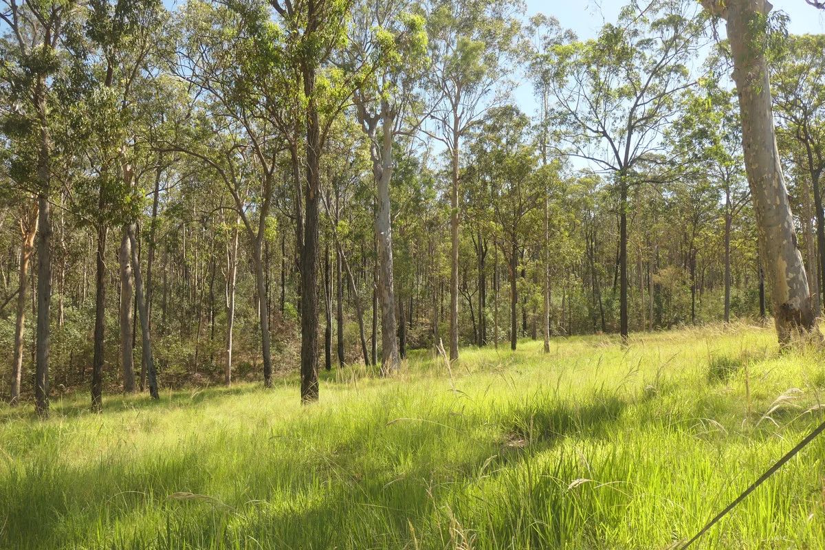 Additional image 15 of Bulldog NSW 2469