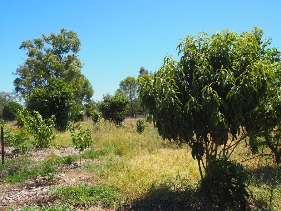 Additional image 2 of Warialda Rail NSW 2402