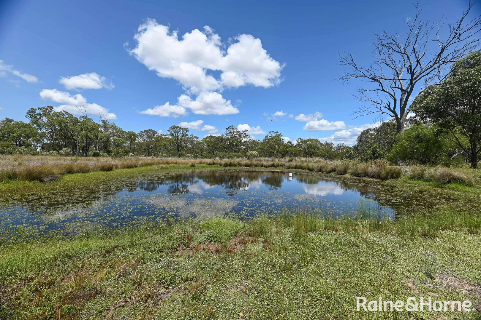 Additional image 3 of 3714 Leyburn-Cunningham Road, Cunningham QLD 4370