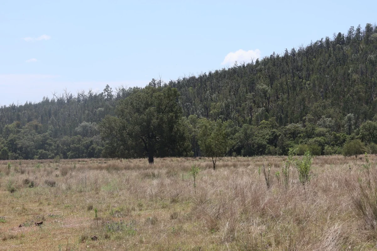 Additional image 16 of 957 Killarney Gap Road, Bingara NSW 2404