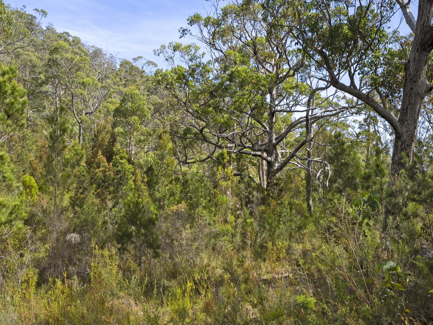 Additional image 10 of 2 and 3 White Beach Road, White Beach TAS 7184