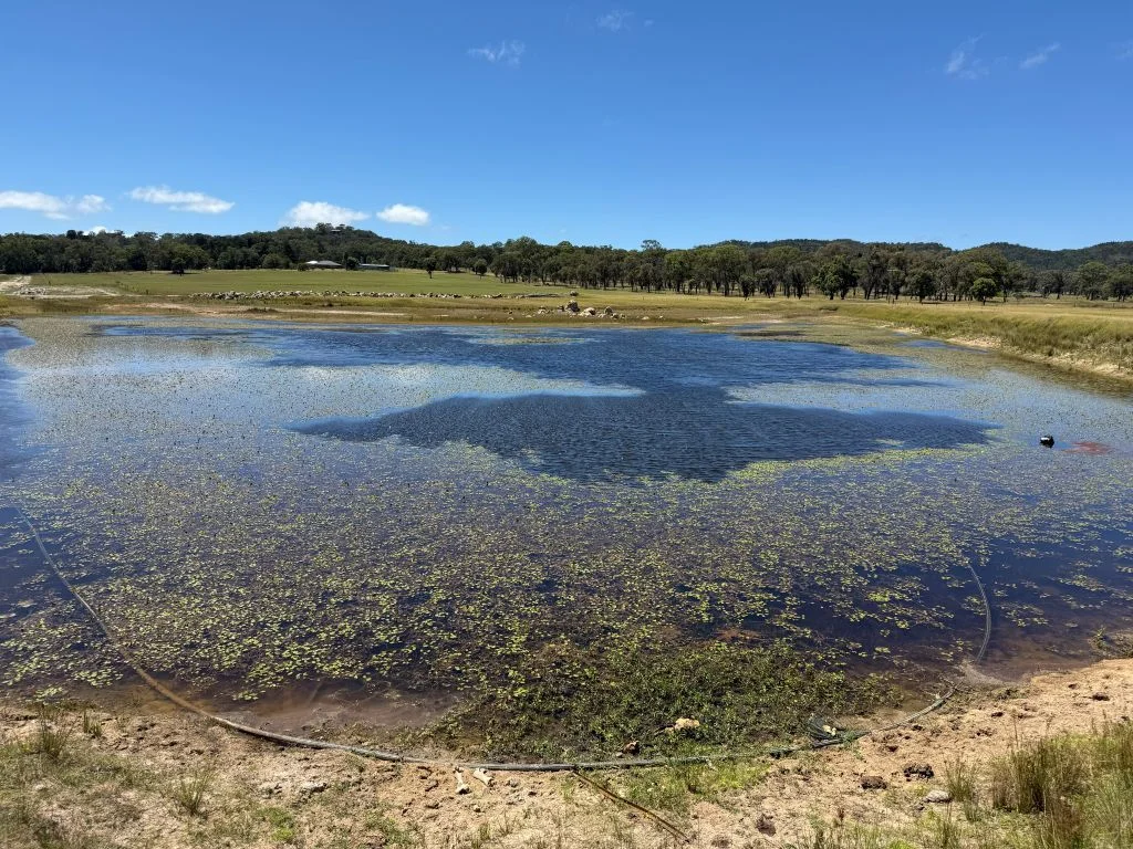 Additional image 12 of Lot 4 / 132 Eukey Road, Stanthorpe QLD 4380