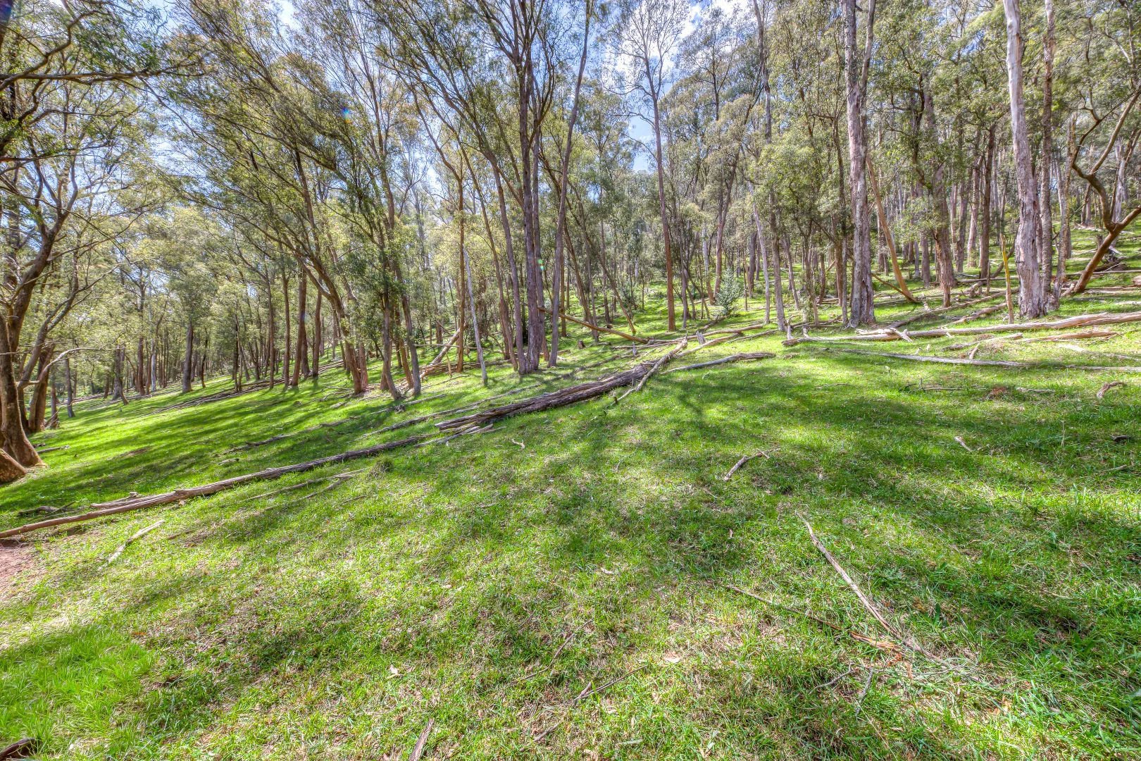 Additional image 11 of 1A Back Wandiligong Road, Bright VIC 3741