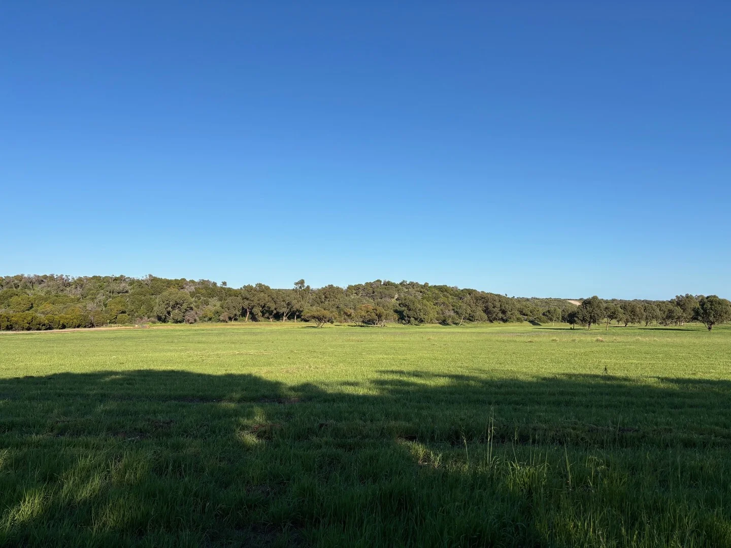 304 Peregrine Ridge, Bonniefield WA 6525