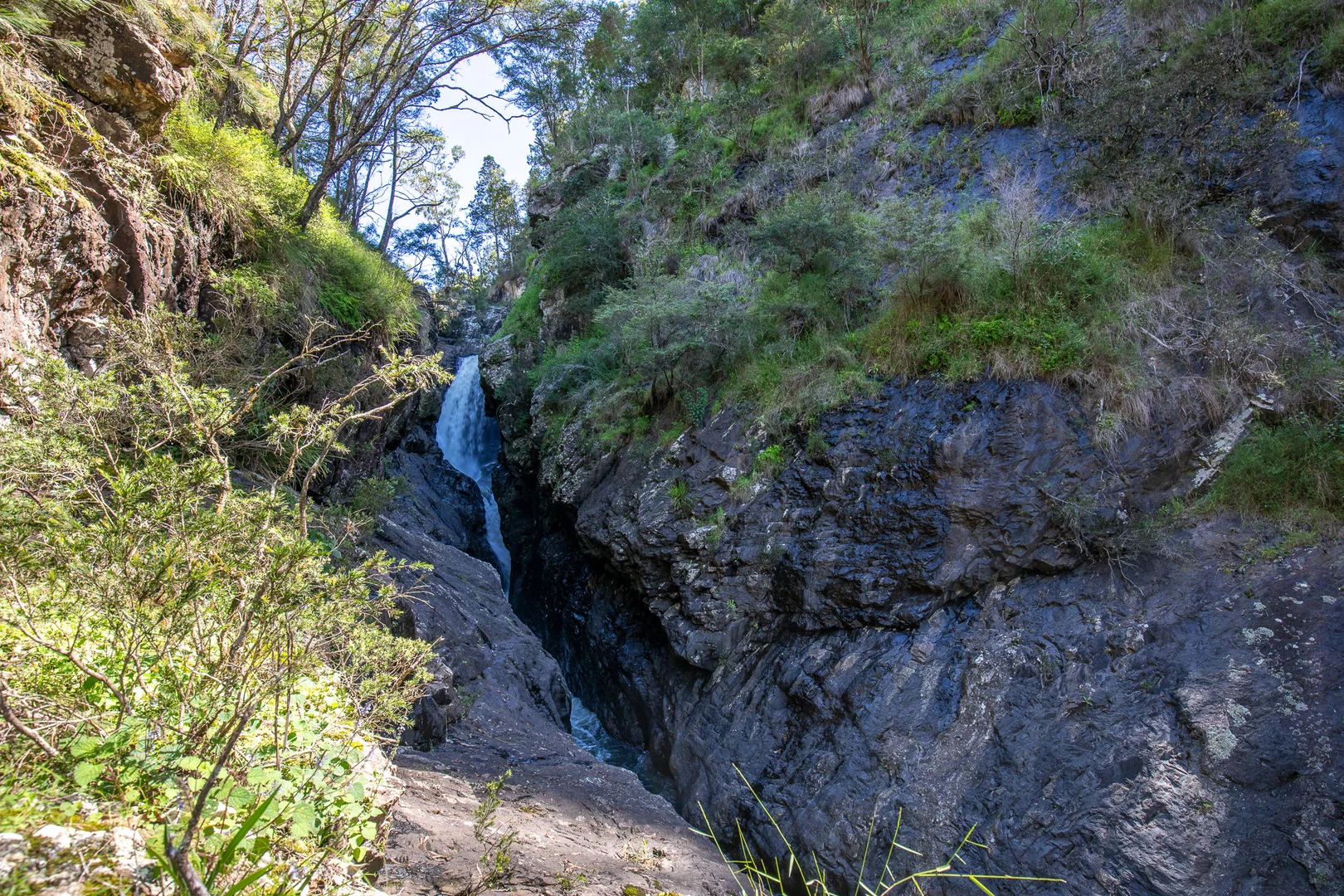 Additional image 17 of 149 Johnsens Road, Dorrigo NSW 2453