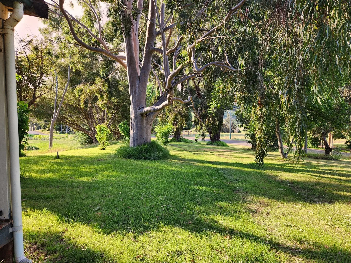 Additional image 17 of 21 Airstrip Rd, Balingup WA 6253