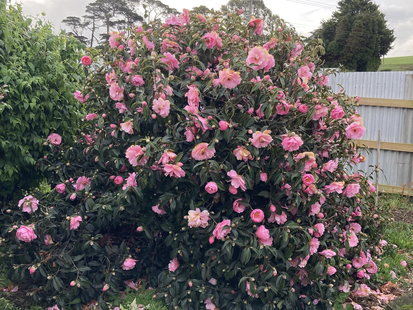 Additional image 34 of 211 Upper Scotchtown Road, Scotchtown TAS 7330