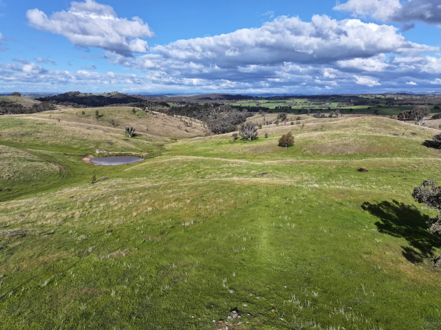 Additional image 12 of 'Rosewood' 850 Pulletop Road, Big Springs NSW 2650