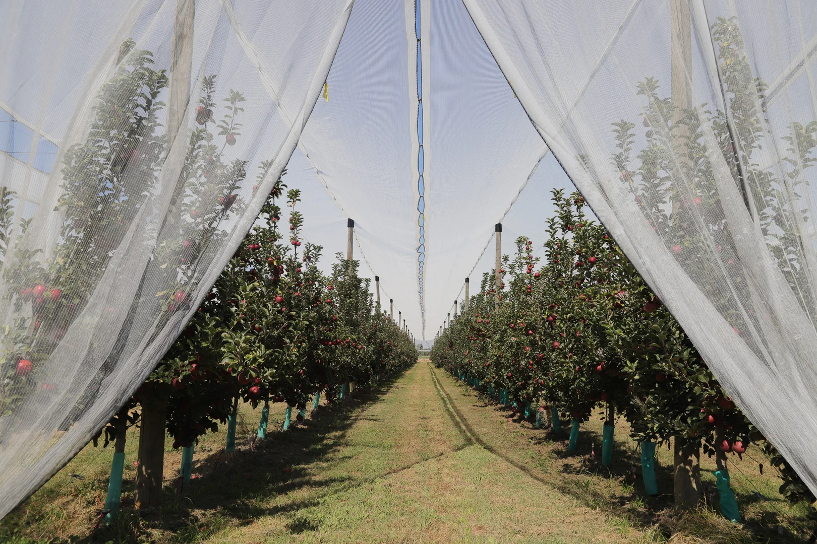 Additional image 6 of Orrvale VIC 3631