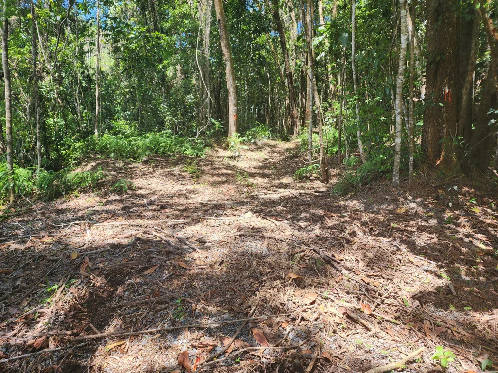 Additional image 3 of 6 Dean Road, Bamboo QLD 4873