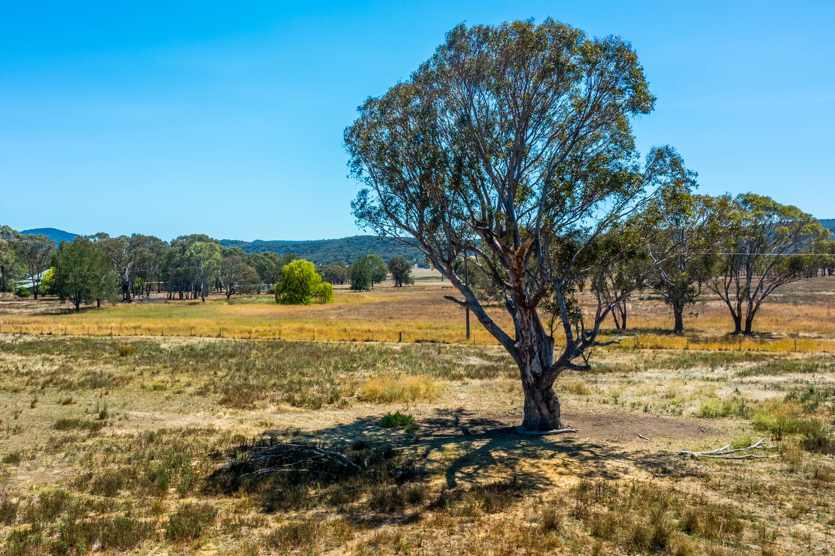 Additional image 3 of 271 Pyangle Road, Rylstone NSW 2849