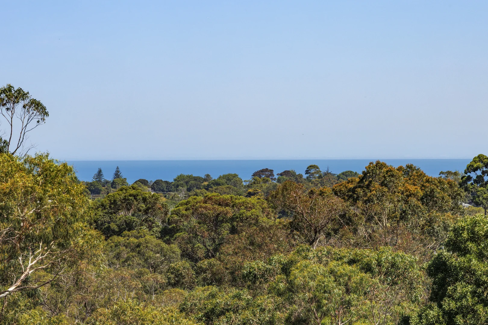 Additional image 22 of 50 Sanders Road, Frankston South VIC 3199