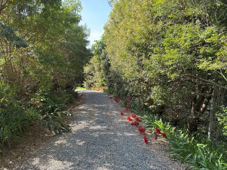 Additional image 5 of 53 Gurrinyah drive, Stokers Siding NSW 2484