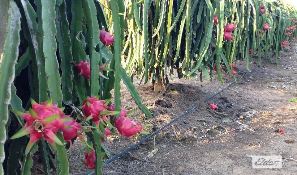 Additional image 35 of 125 Buckley Road, Lambells Lagoon NT 0822