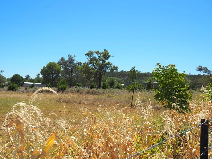Additional image 3 of Warialda Rail NSW 2402