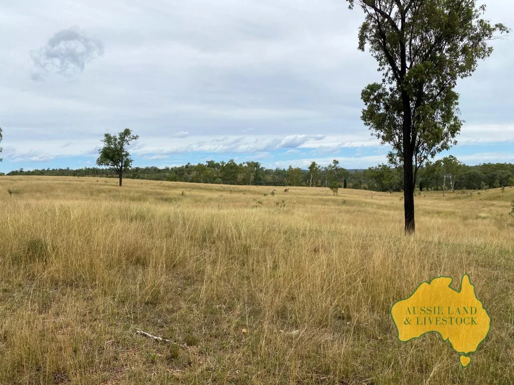 Additional image 10 of 2360 MONTO MOUNT PERRY ROAD, Yarrol QLD 4630