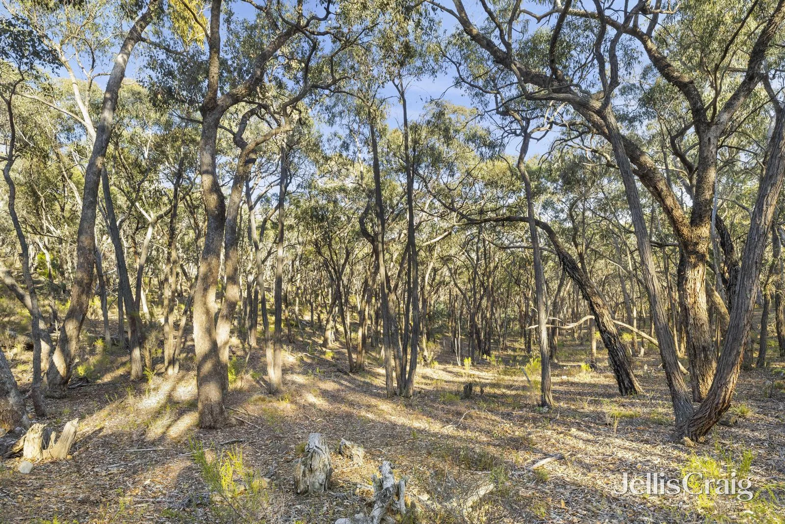 Additional image 9 of 589 Vaughan Springs Road, Drummond North VIC 3446