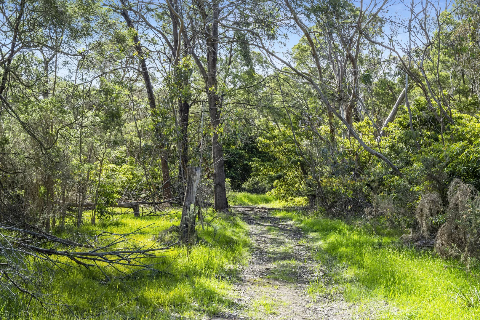 Additional image 14 of 8 Bittern-Dromana Road, Bittern VIC 3918