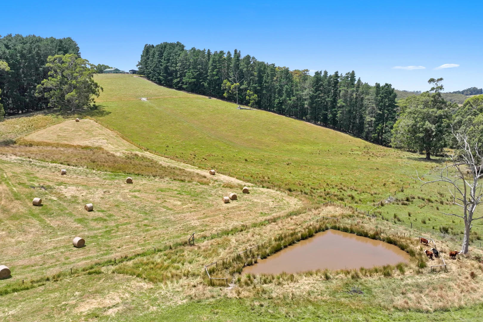 Additional image 8 of 460 Old Telegraph Road, Crossover VIC 3821