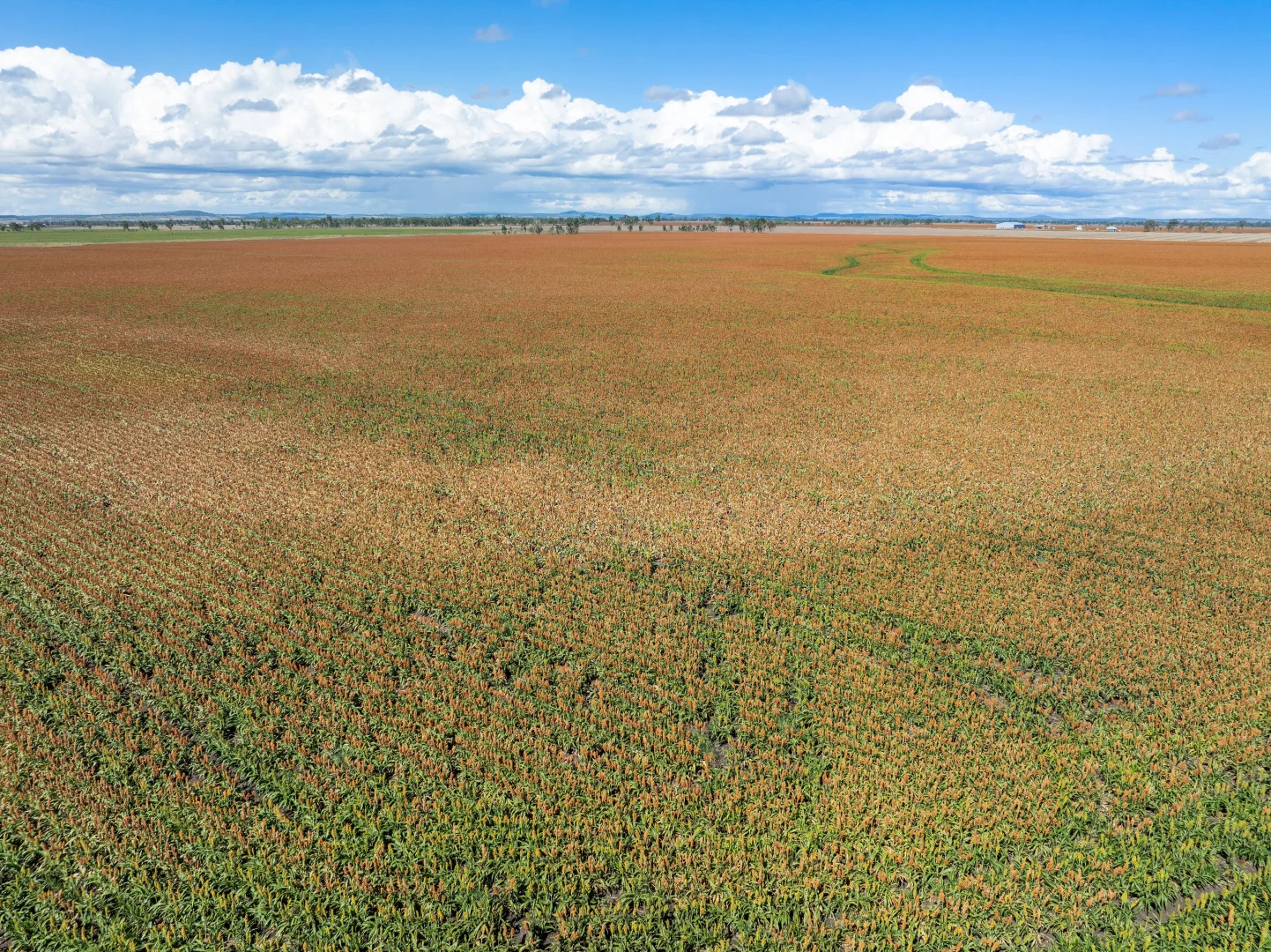 Additional image 9 of 1989 Millmerran Leyburn Road, Tummaville QLD 4352