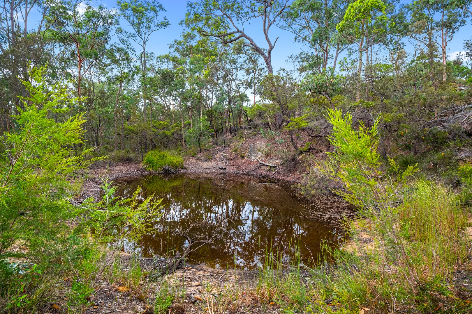 Additional image 9 of 173 Gallaghers Road, South Maroota NSW 2756