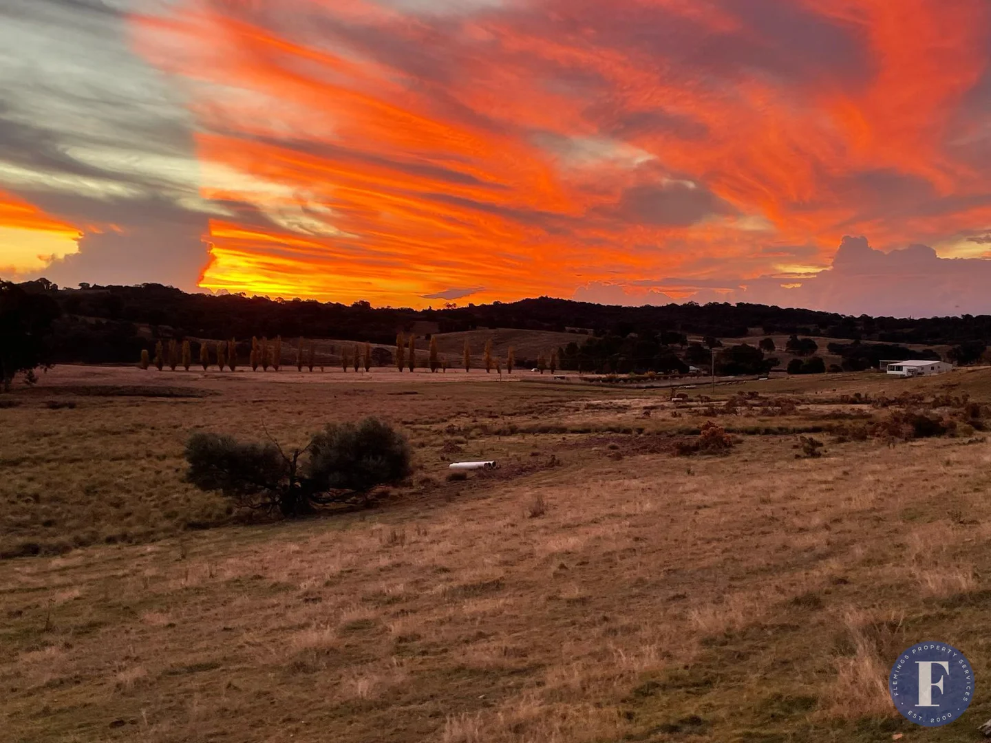 Additional image 26 of 485 Taylors Flat Road, Frogmore NSW 2586