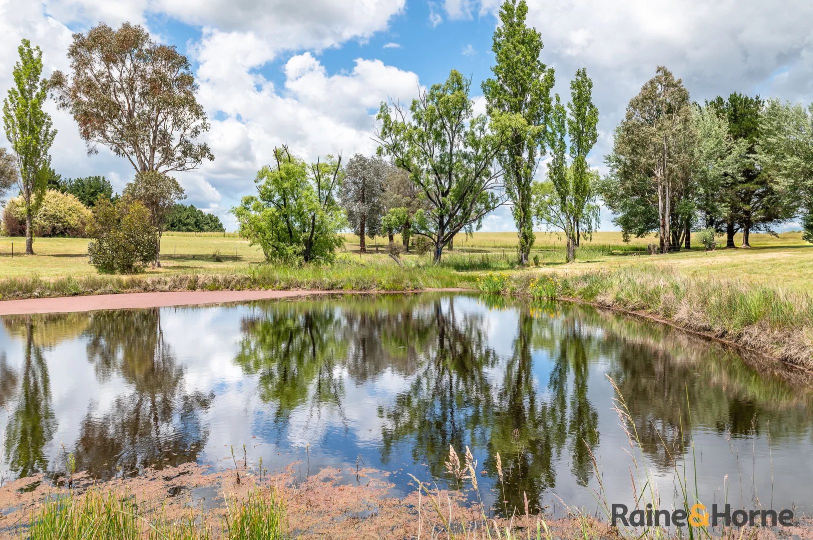Additional image 17 of 3933 Thunderbolts Way, Uralla NSW 2358