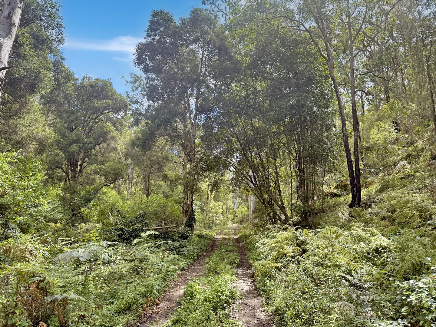 Additional image 4 of 946 Stockyard Creek Road, Paynes Crossing NSW 2325