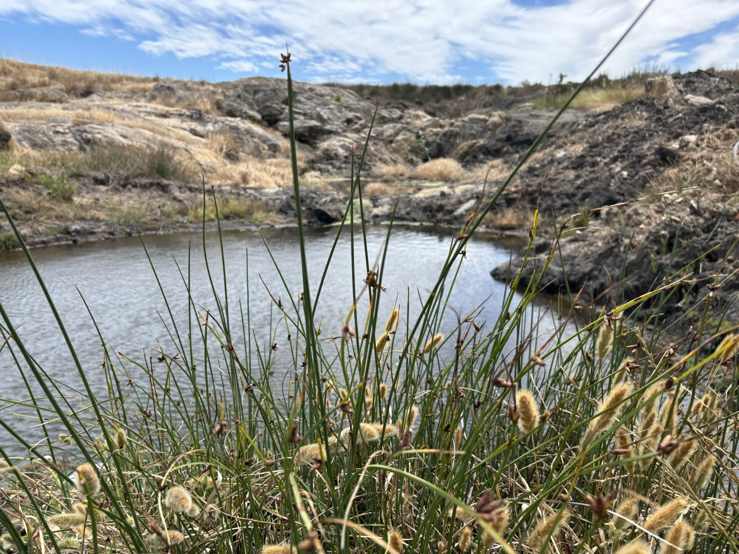 Additional image 5 of 251 Reservoir Drive, Whites Flat SA 5607