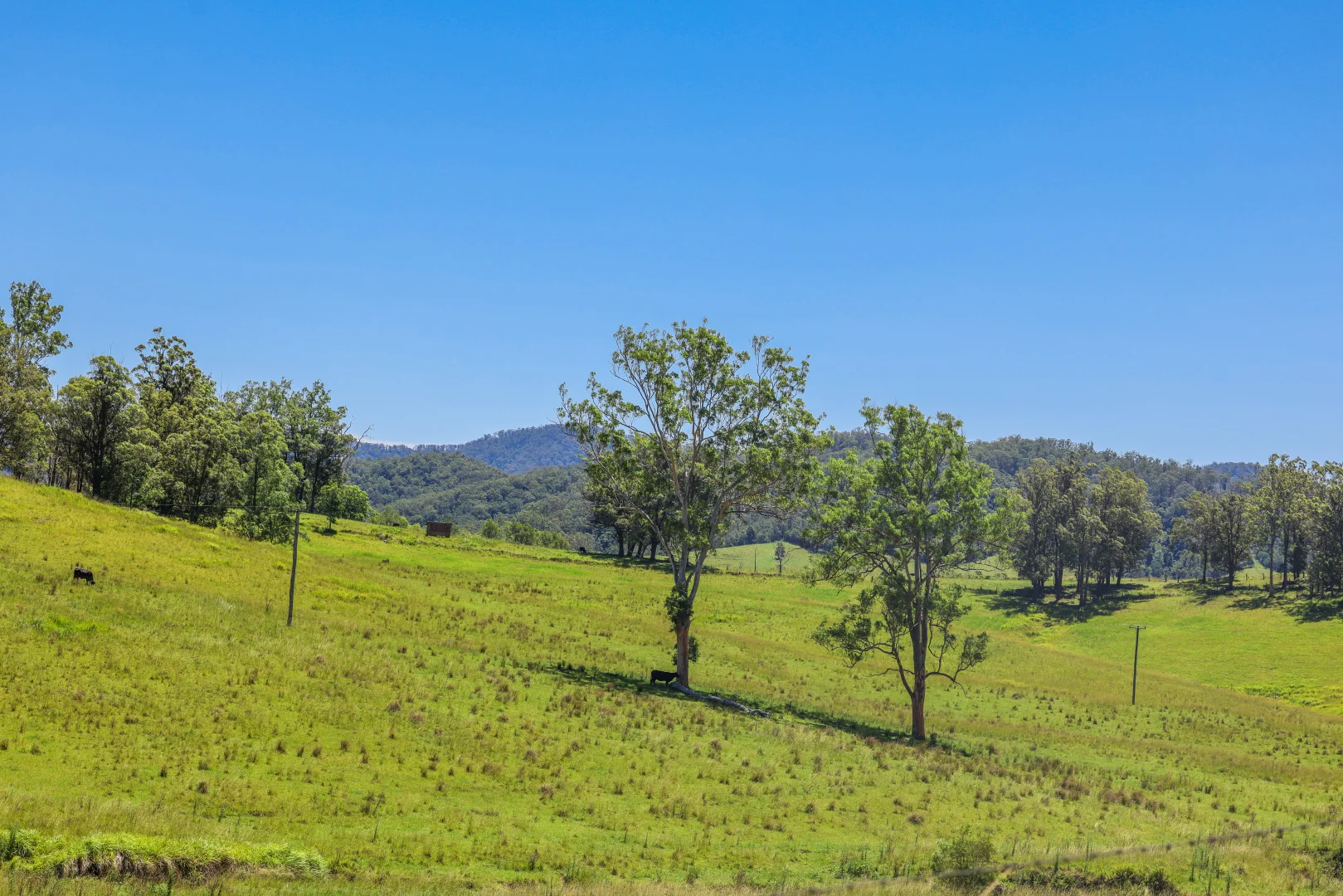 Additional image 16 of 55 Argues Rd, Upper Taylors Arm NSW 2447