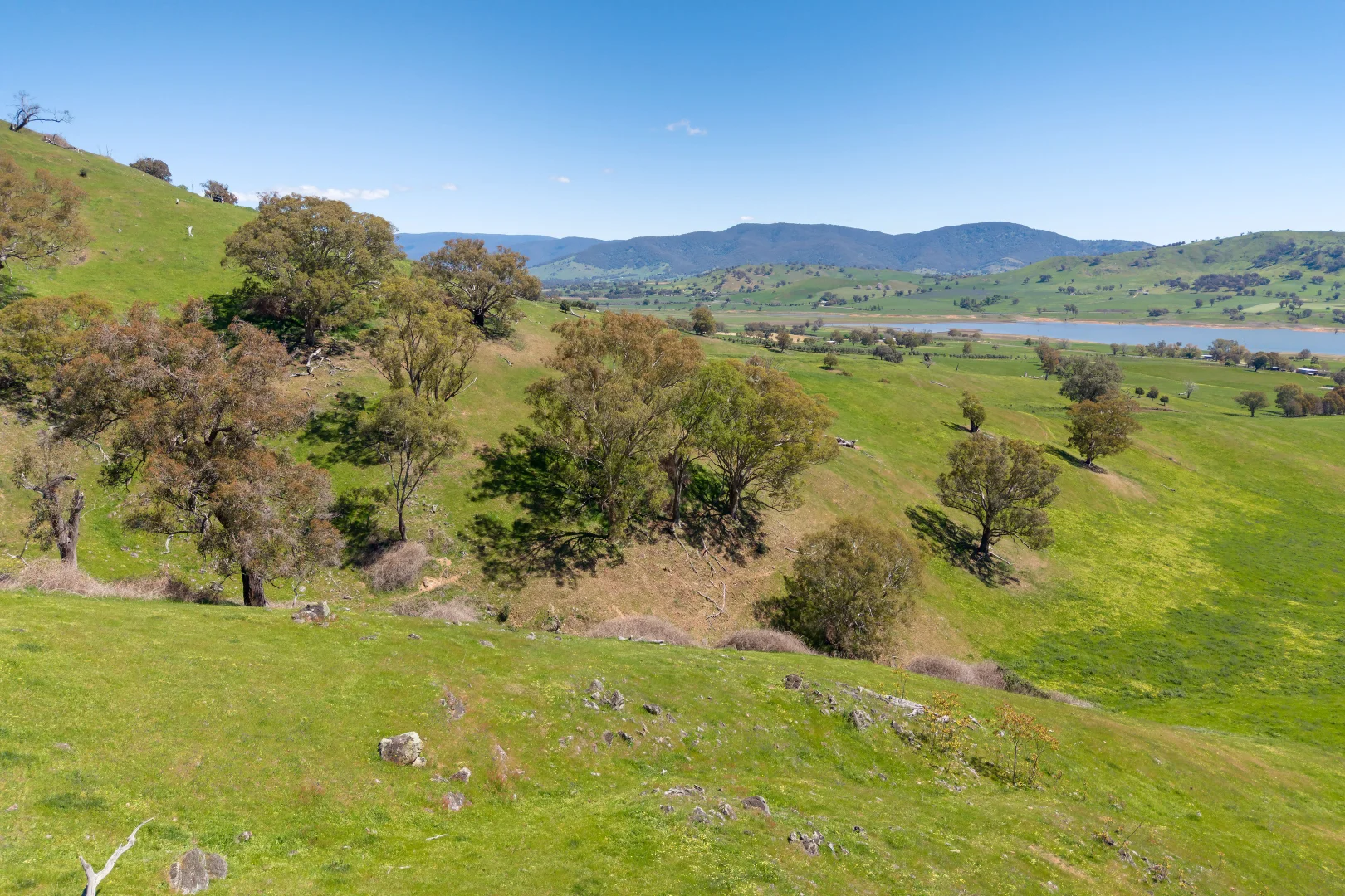Additional image 47 of 1407 Murray Valley Highway, Huon VIC 3695