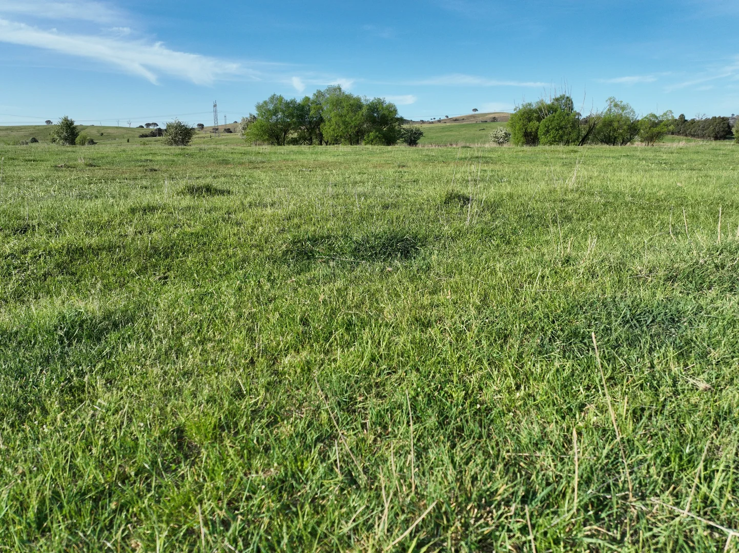 Additional image 7 of 'McCrystal', Lot 3 Lade Vale Road, Gunning NSW 2581