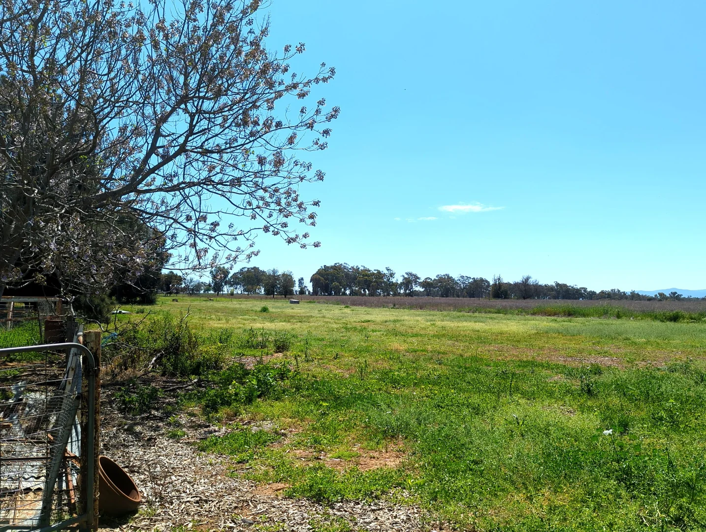 Additional image 5 of 5082 Werris Creek Road, Warral NSW 2340