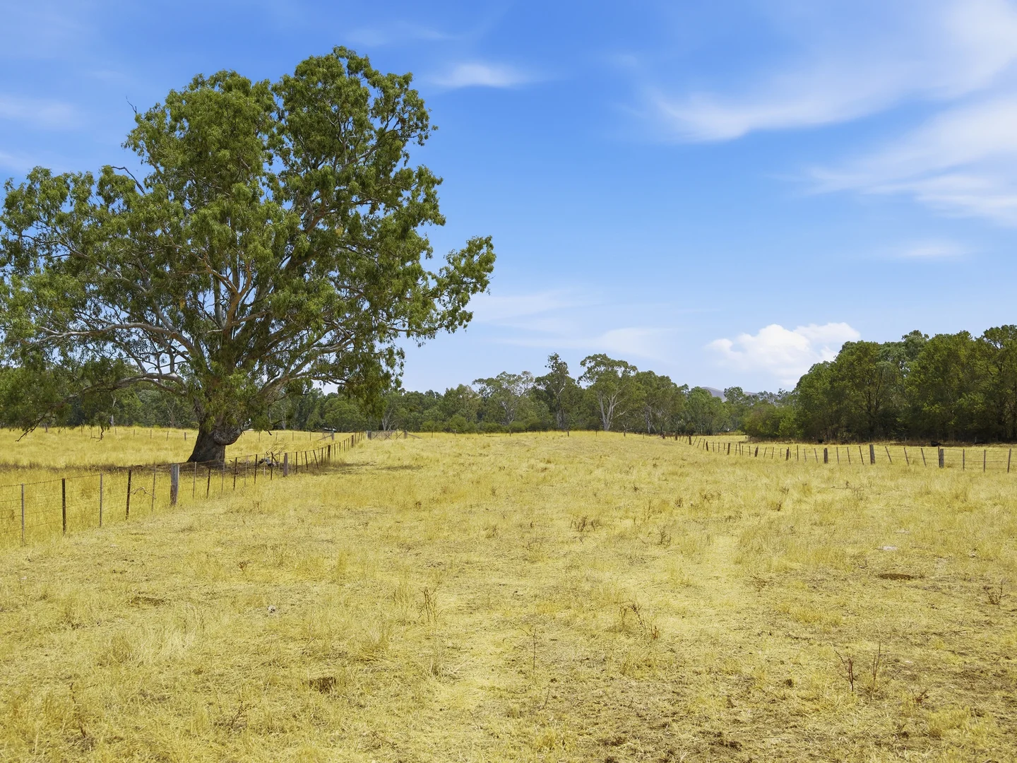 Additional image 21 of 25 Stones Road, Alexandra VIC 3714