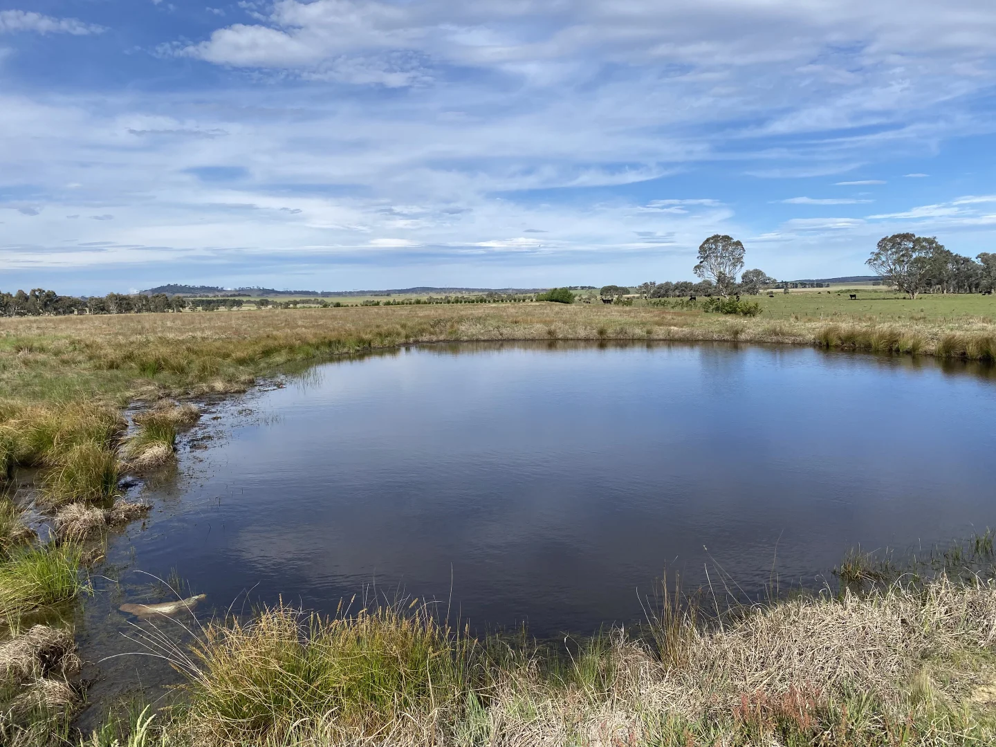 Additional image 10 of 966 Towrang Road, Towrang NSW 2580