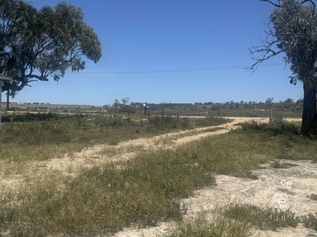 Additional image 9 of 73 Mallee Road, Walker Flat SA 5238