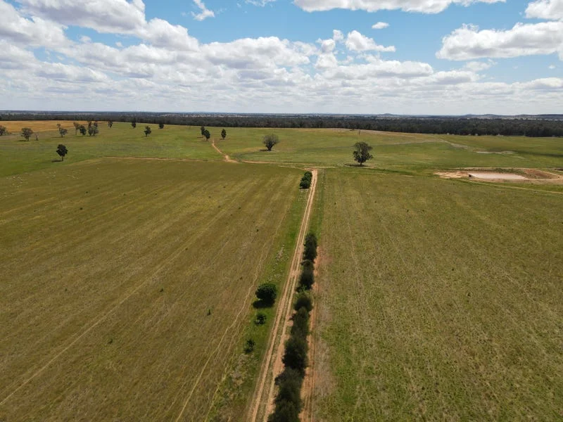 Additional image 4 of 893 Deaths Lane, Pullabooka NSW 2810