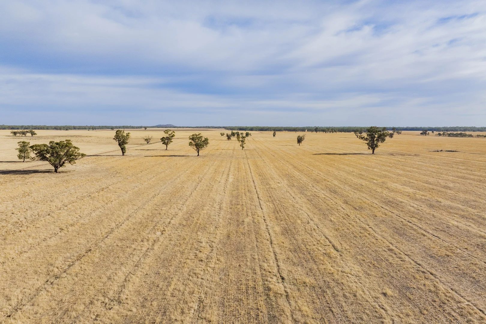 Additional image 6 of 1152 Central Island Road, Galore NSW 2650