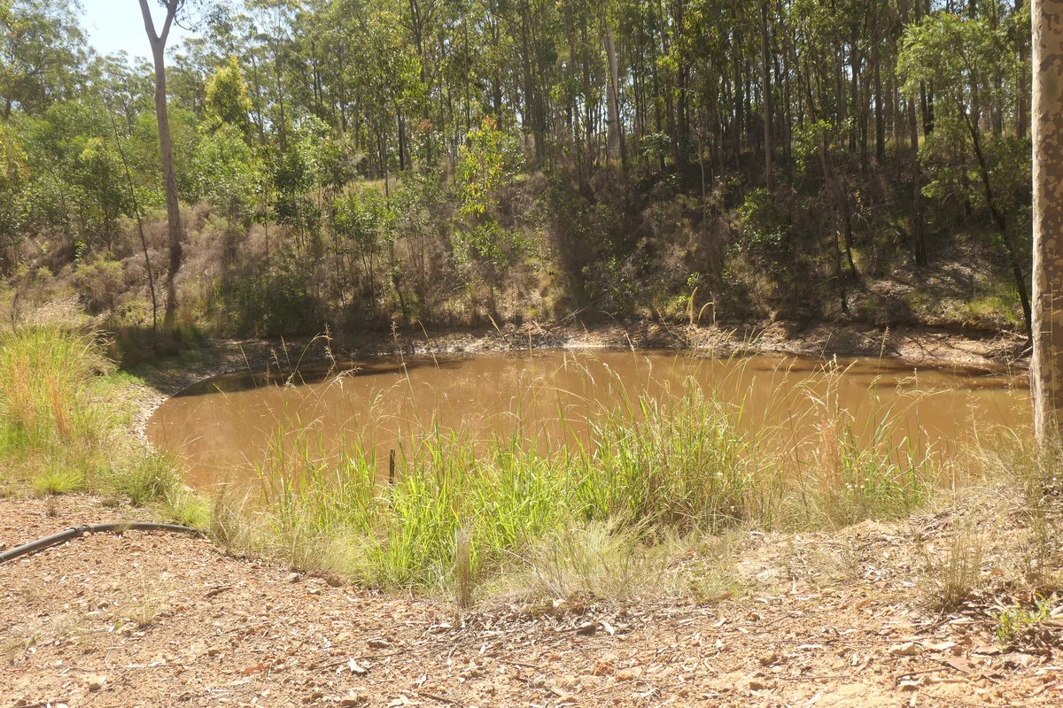 Additional image 22 of Bulldog NSW 2469