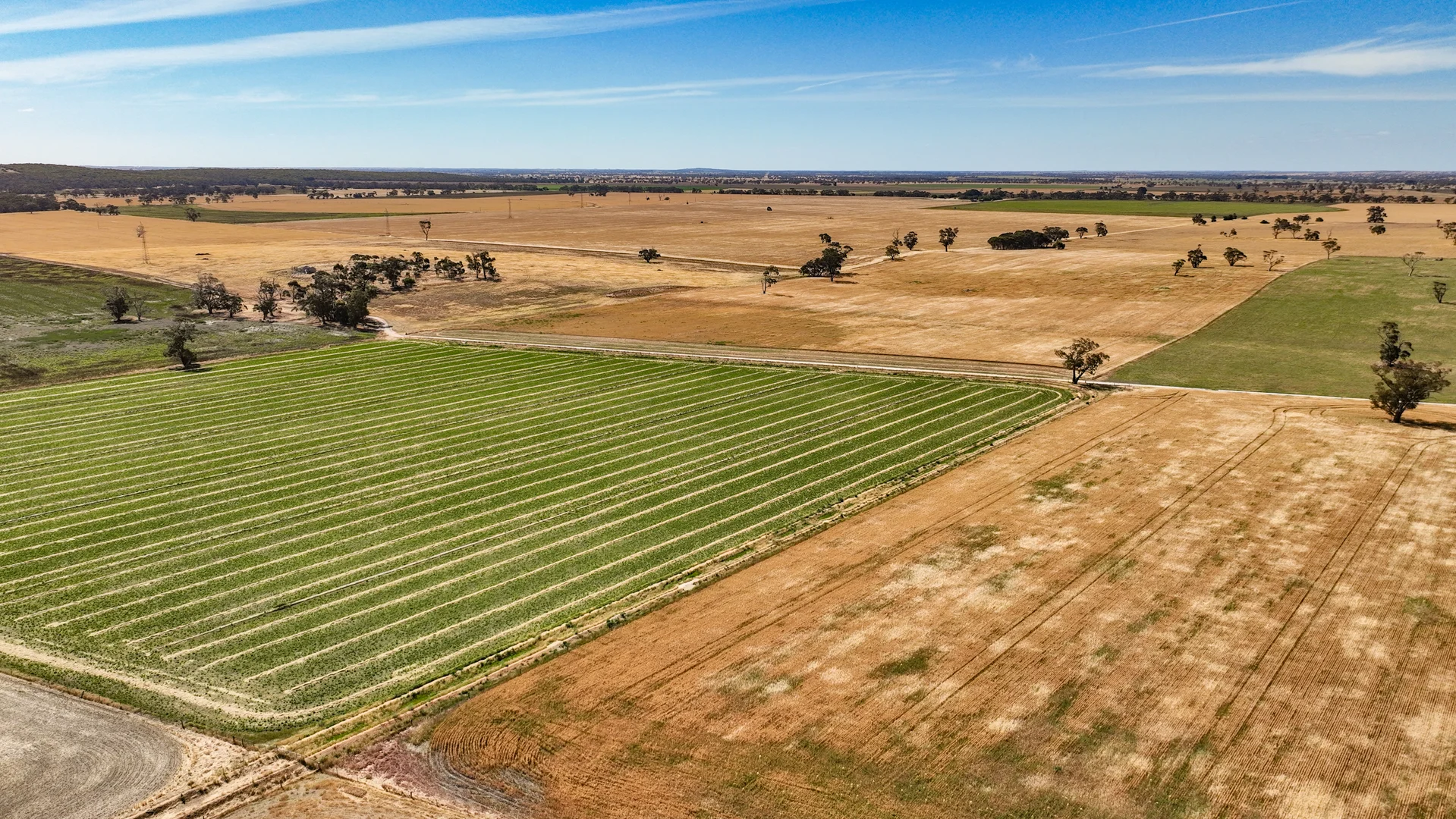 Additional image 7 of 2212 CAREW ROAD, Mundulla SA 5270