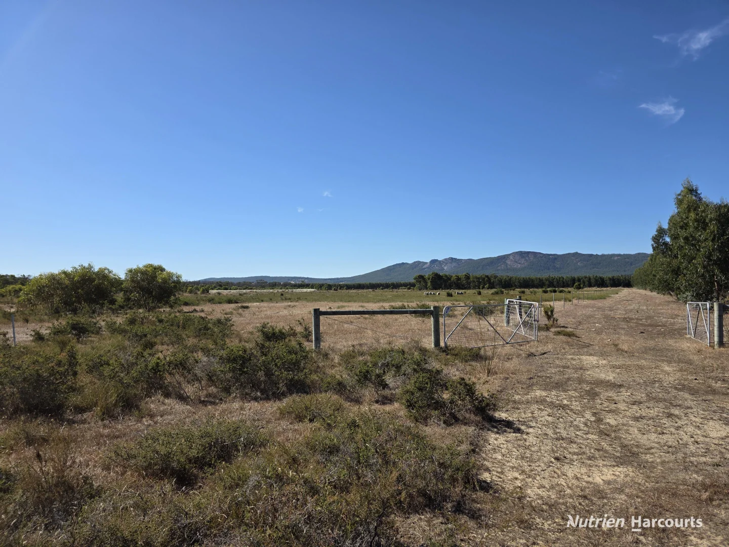 Additional image 8 of 1578 Yellanup Road, Narrikup WA 6326