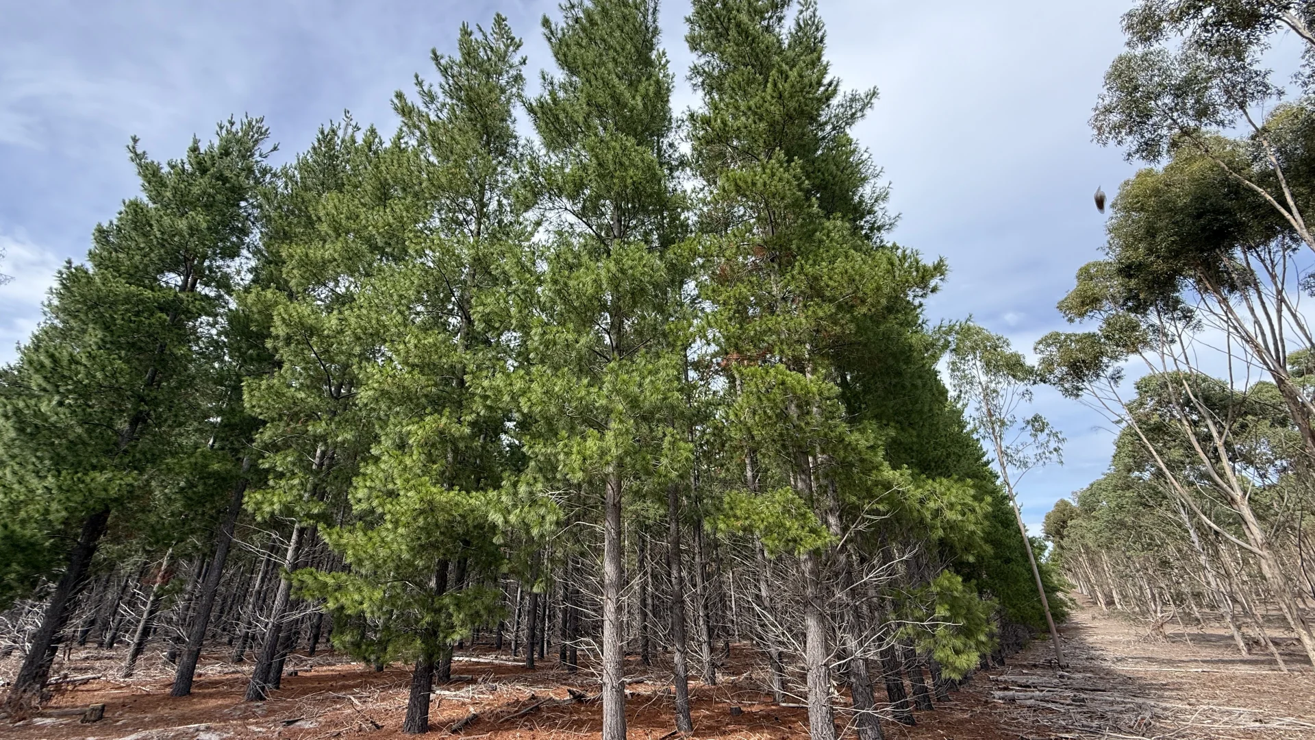 Additional image 17 of Lot 1 Jim Ryans Road, Edenhope VIC 3318