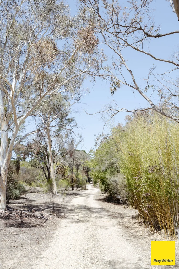 Additional image 33 of 317 Macs Reef Road, Bywong NSW 2621