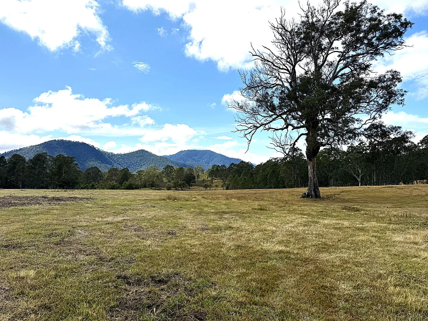 Additional image 13 of 3/1076 Neringla Road, Braidwood NSW 2622